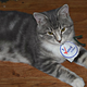 Illustration for article titled Just a Reminder for U.S.ians - Vote Today!
